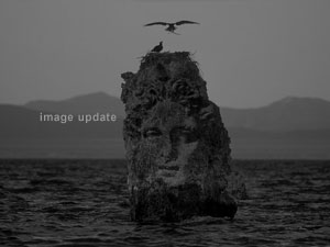 zxc- 3d studio max fantasy art pictures