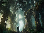 Trees Echo or Fantasy Art Cathedral Forest