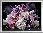 Nature in Flux, Soul Flowers Set